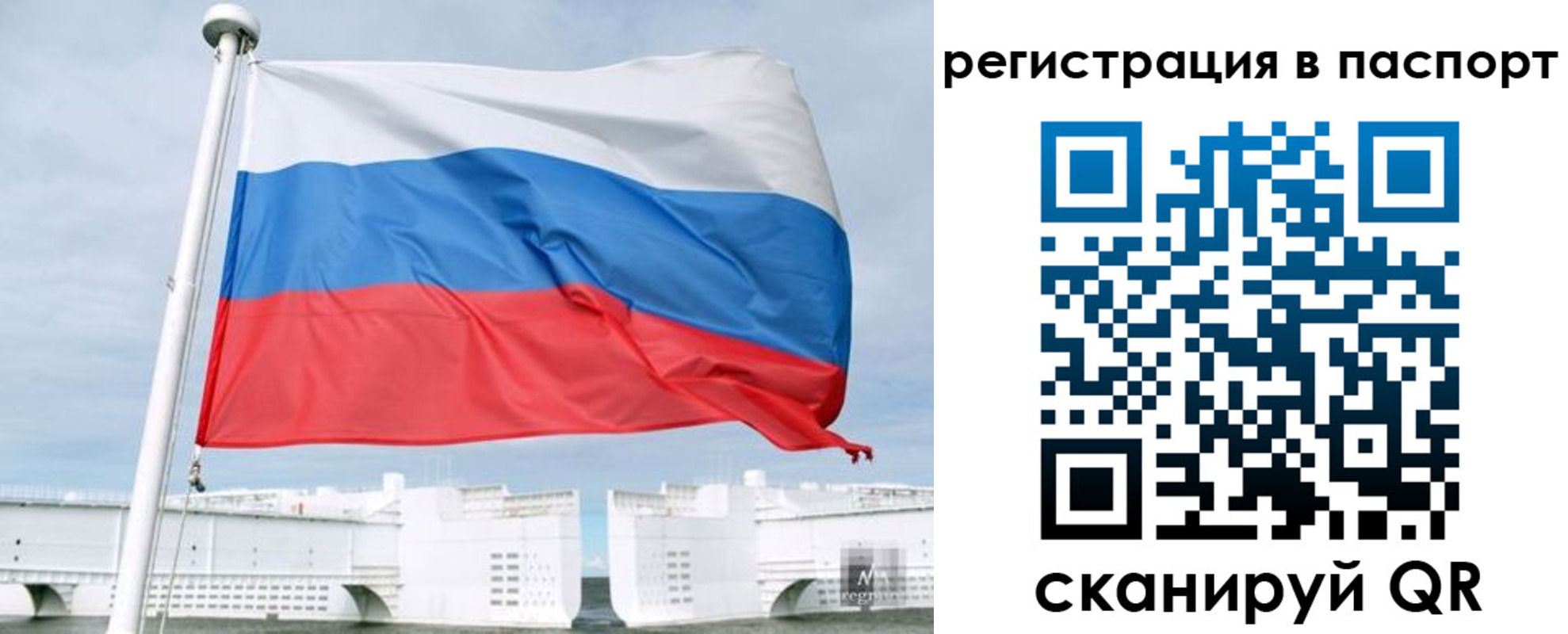 регистрация в Славгороде